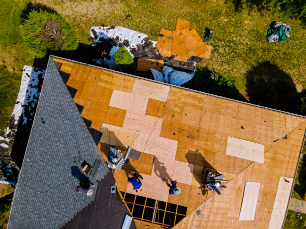 Roof Gutter Cleaning in Dormont, PA
